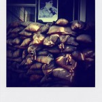 hotel beiroet polaroid