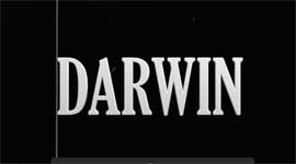 DARWIN
